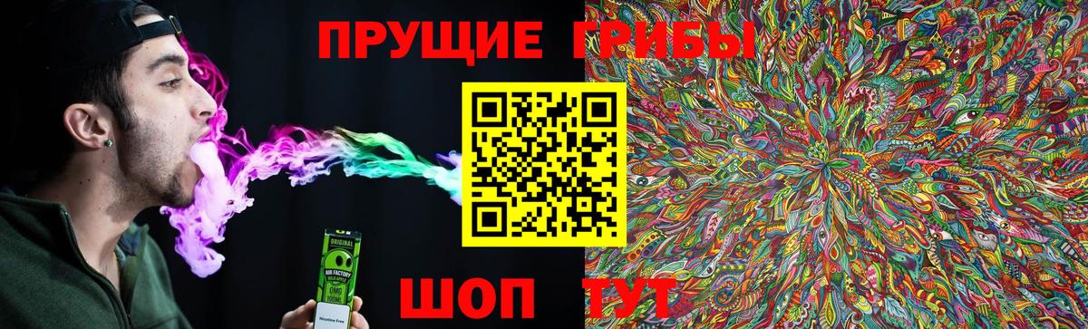 Гай  Псилоцибиновые грибы ЛСД  Псилоцибиновые грибы Psilocybe  Вход с VPN 